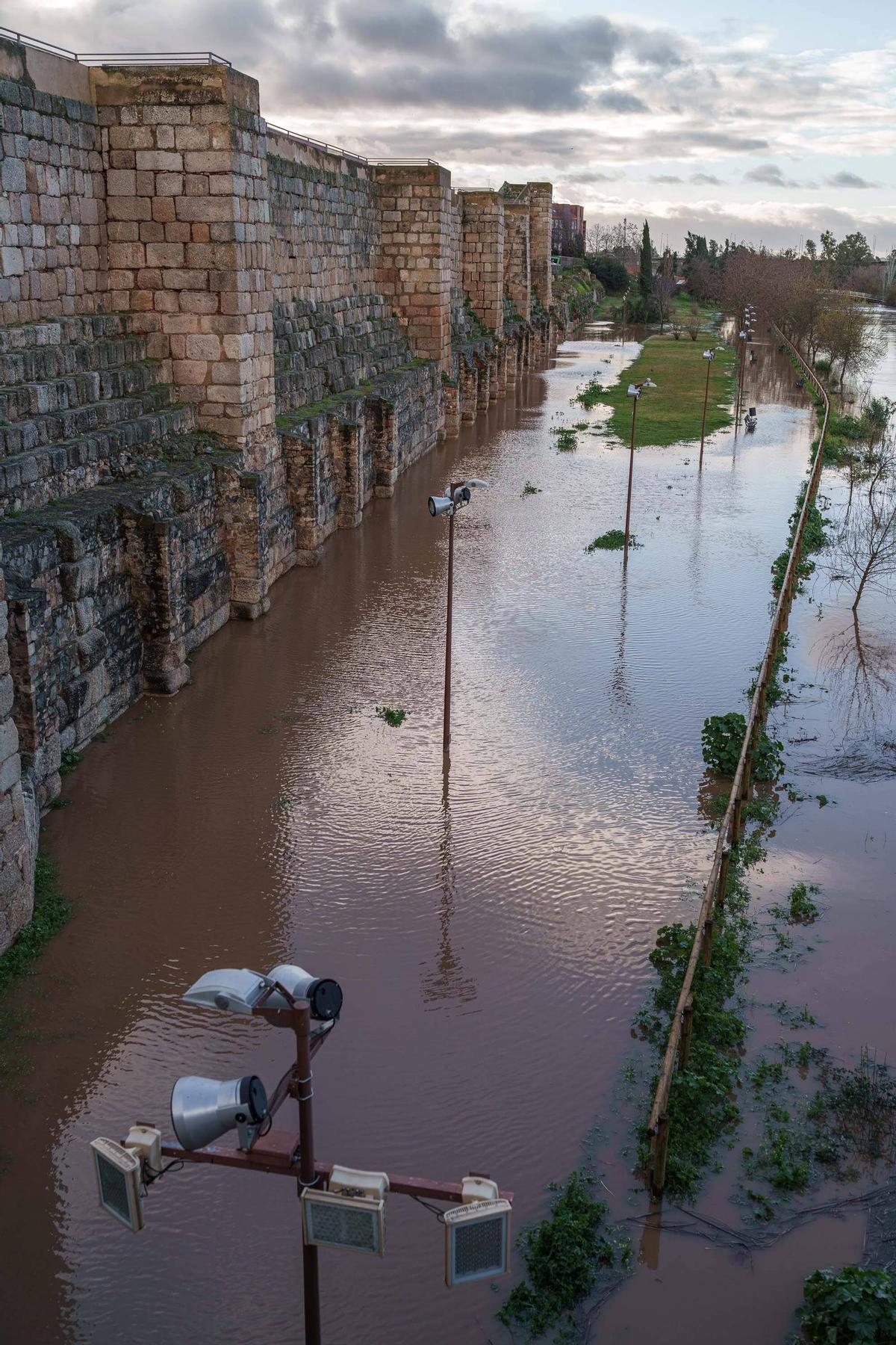 La crecida del río Guadiana a su paso por Mérida anega el parque de La Isla.