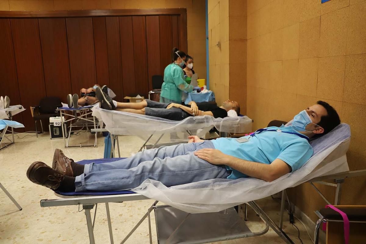 Semana del Donante: campaña especial de donación de sangre y de plasma