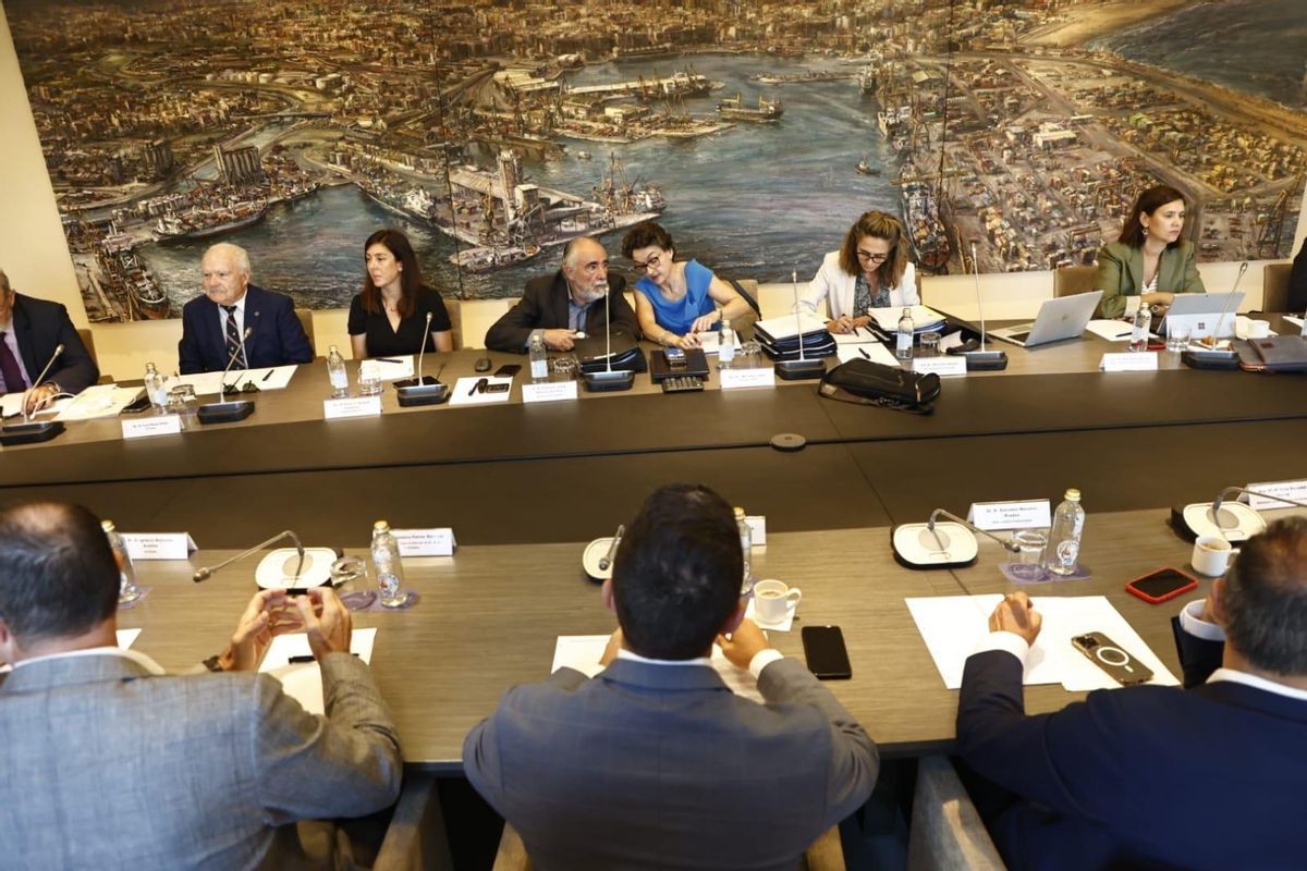 Un momento de la reunión del consejo de la APV.