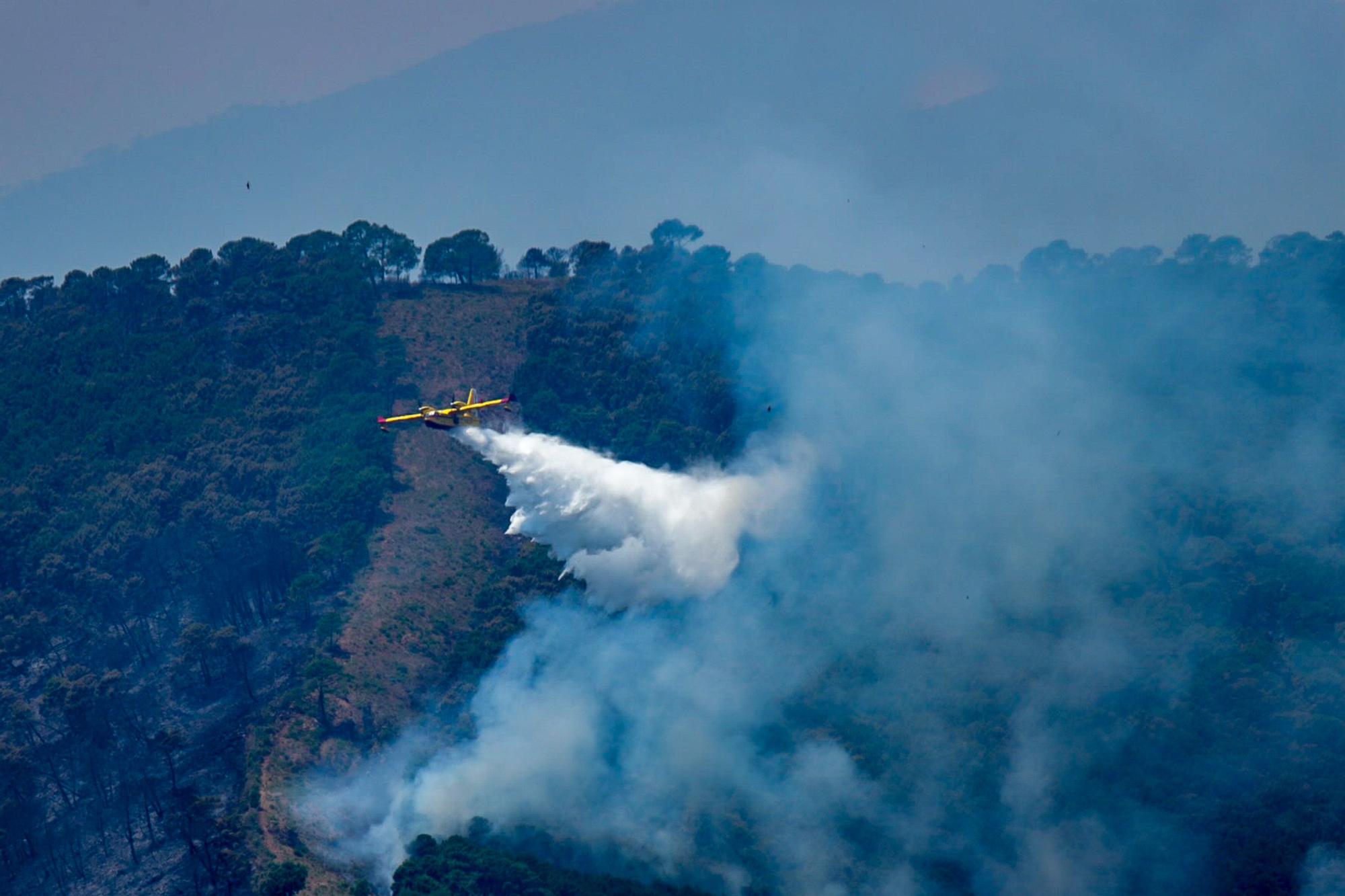 Waldbrand an der Costa del Sol