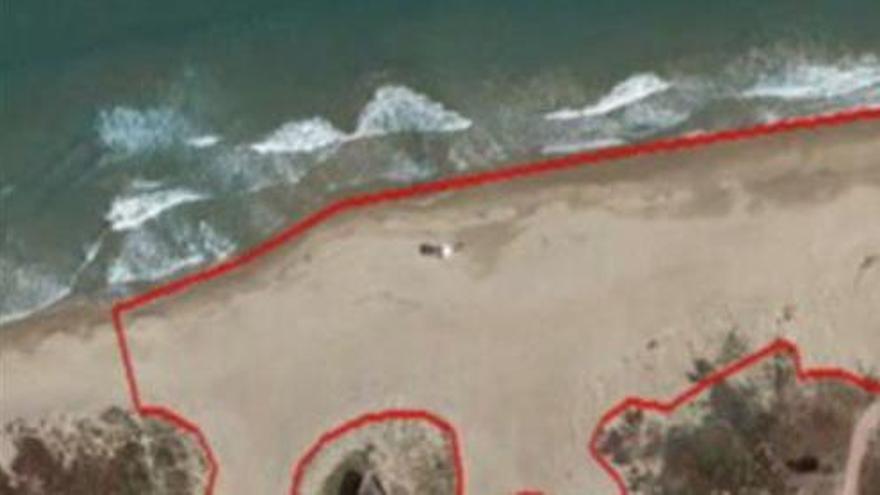 Zona de actuación en la playa de El Saler.