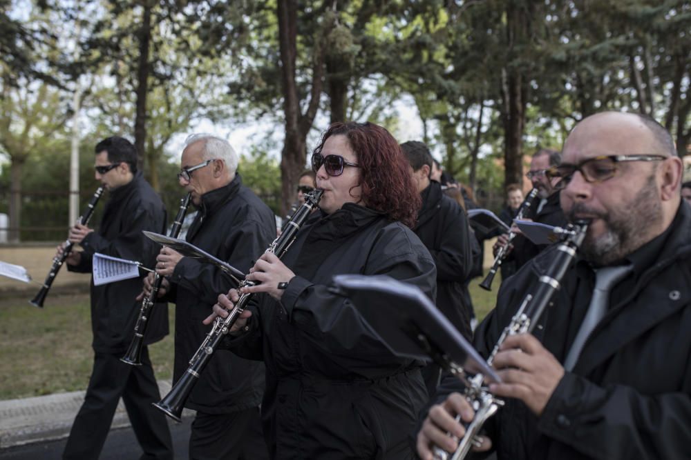 Semana Santa en la provincia 2019 | Domingo de Ram