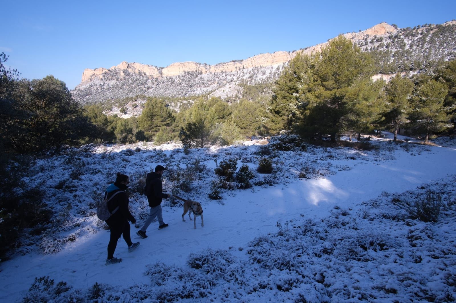 La nieve cubre de blanco el Xorret de Catí