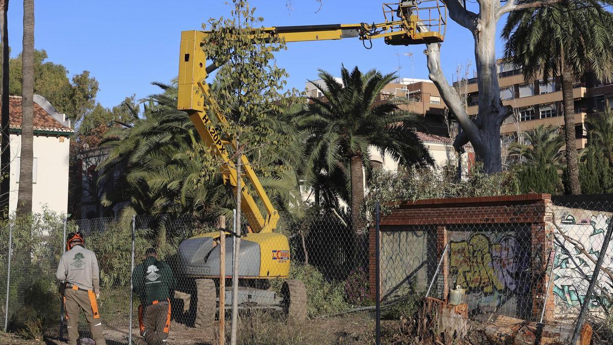 Así avanzan las obras del antiguo Economato del Port de Sagunt