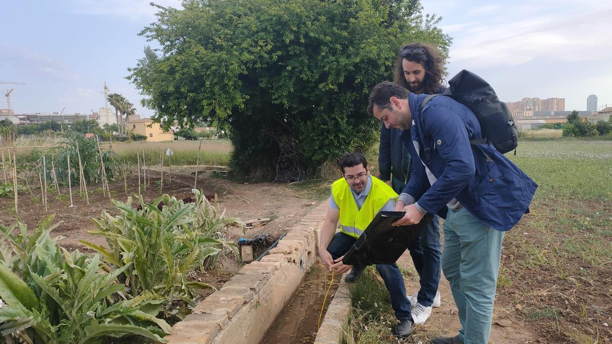 Un técnico explica cómo funciona la app para controlar el riego en la huerta.