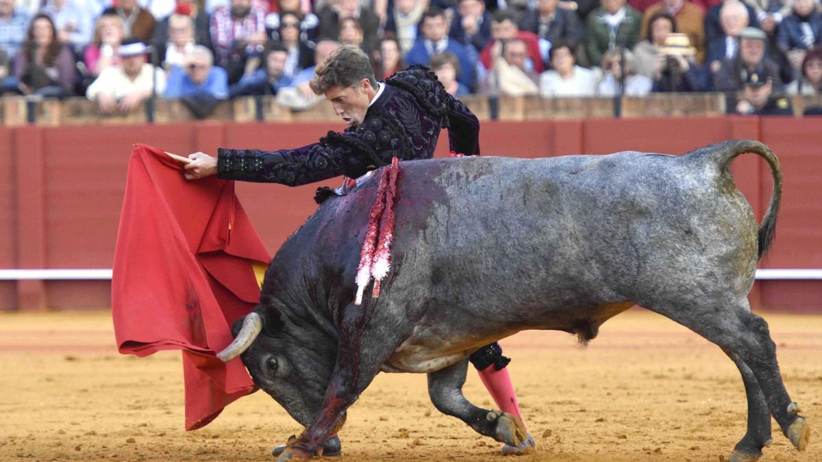 El matador de toros Manuel Escribano durante el segundo de su lote al que indultarón en la duodécima corrida de abono de la Feria de Abril. / Inma Flores.