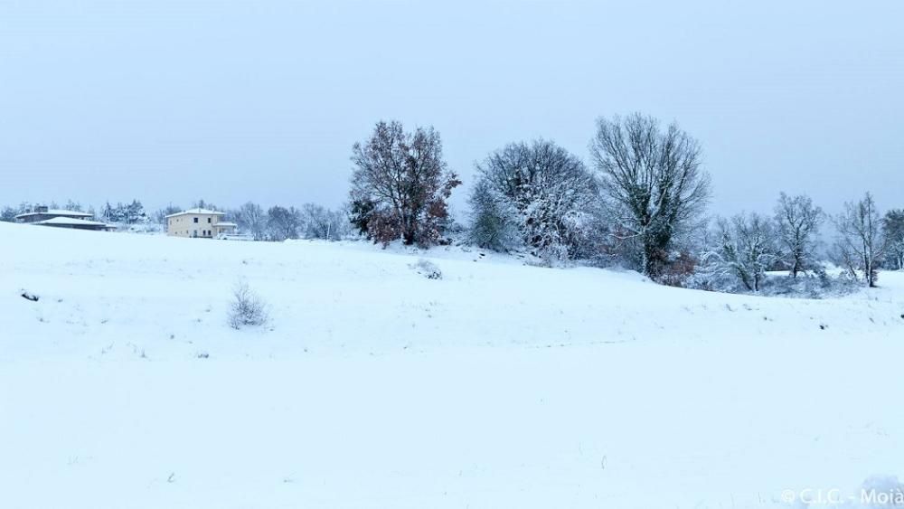 Nevada entre els termes de Moià i Collsuspina