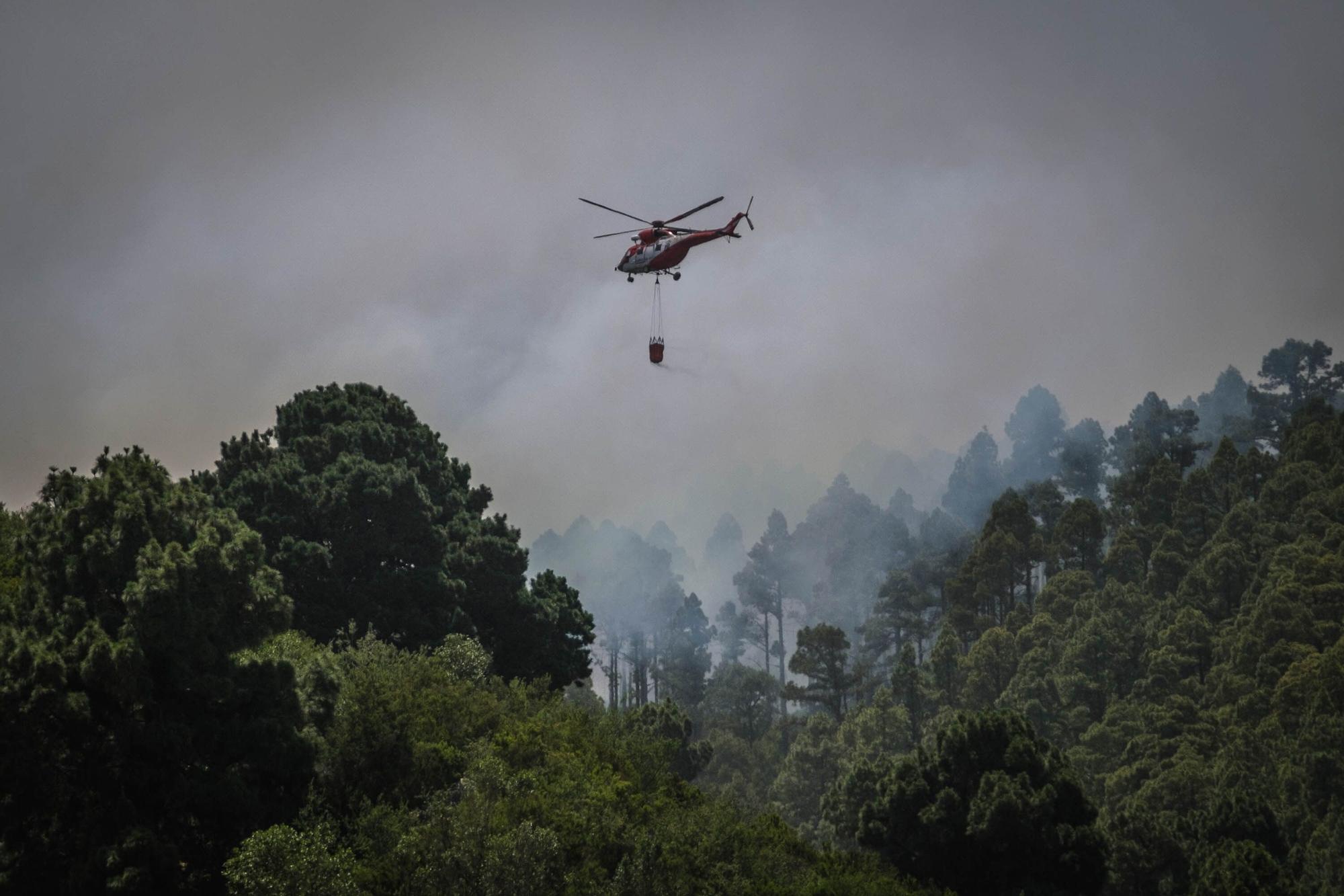 El incendio forestal de Tenerife, en imágenes