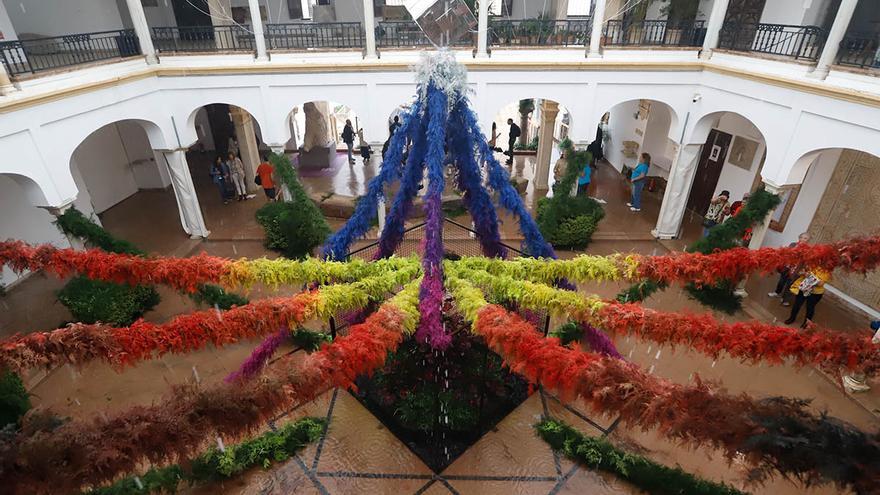 Córdoba Flora 2022 Maurice Harris Museo Arqueológico