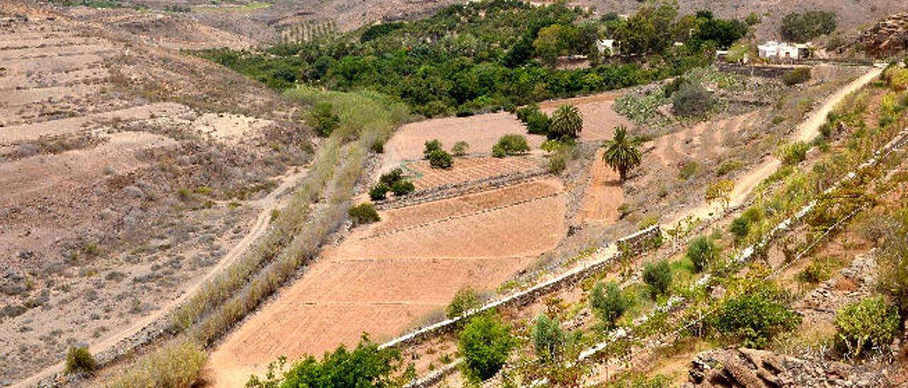 Fincas agrícolas en la localidad de El Salobre, en el municipio de San Bartolomé de Tirajana.