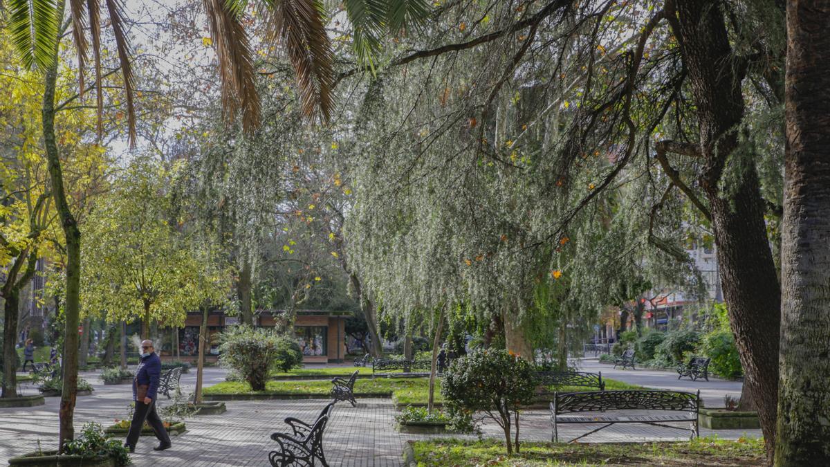 Cáceres destaca por su elevado número de árboles y zonas verdes