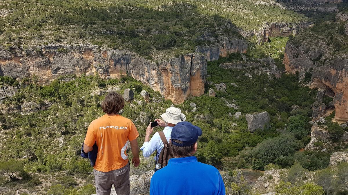 El vino de Utiel-Requena cuenta con su propia Denominación de Origen