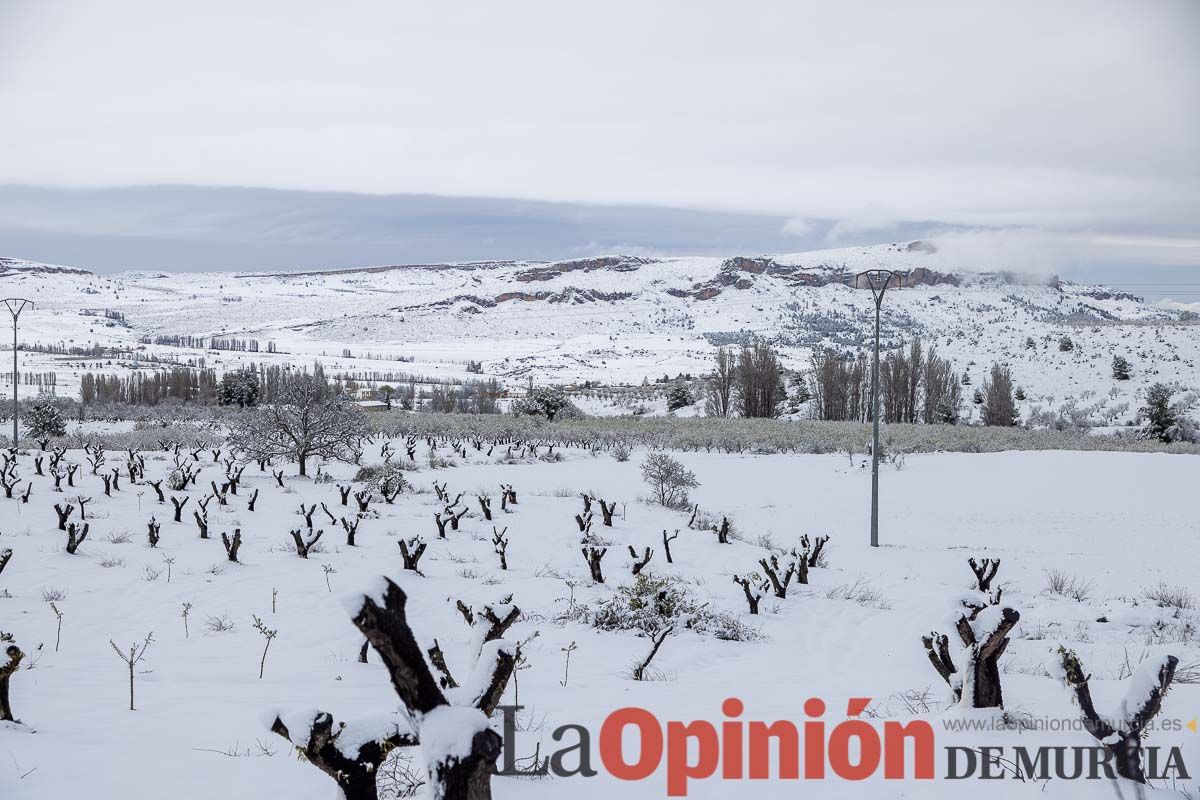 La comarca del Noroeste ofrece una estampa invernal