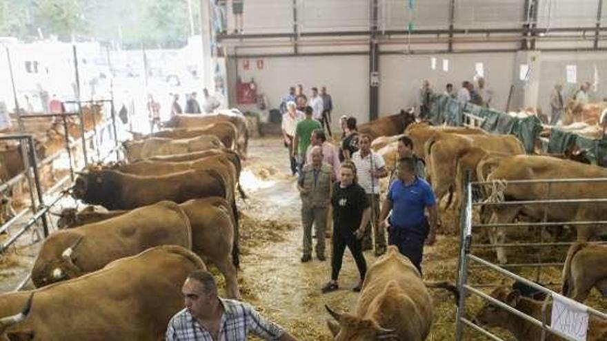 La feria de ganado de La Pontona del pasado año.