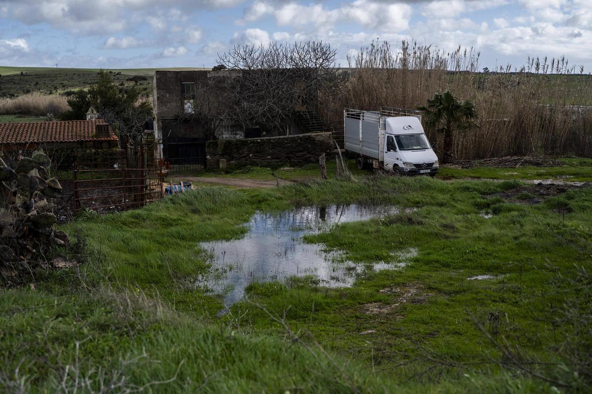 Galería | Estado del Marco tras el desembalse del Guadiloba en Cáceres