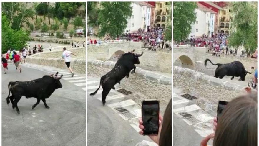 La caída del toro en Ontinyent obliga a revisar todos los festejos de «bou en corda»