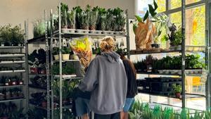 Gran Venta de Plantas de Plantes pour tous en el Espacio 88.