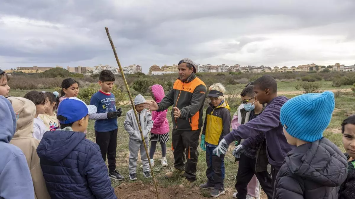 Mil escolares disfrutan de la experiencia de plantar un árbol en el parque natural de Torrevieja