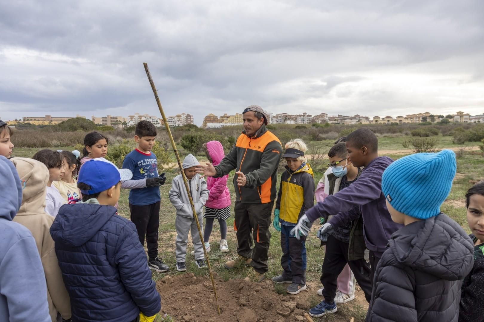 Jornada escolar plantación de especies autóctonas junto al parque natural de las lagunas de Torrevieja y La Mata