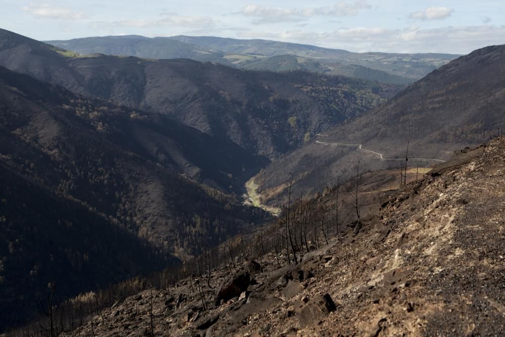 Allande y Grandas de Salime: recorrido por los territorios quemados en los últimos incendios