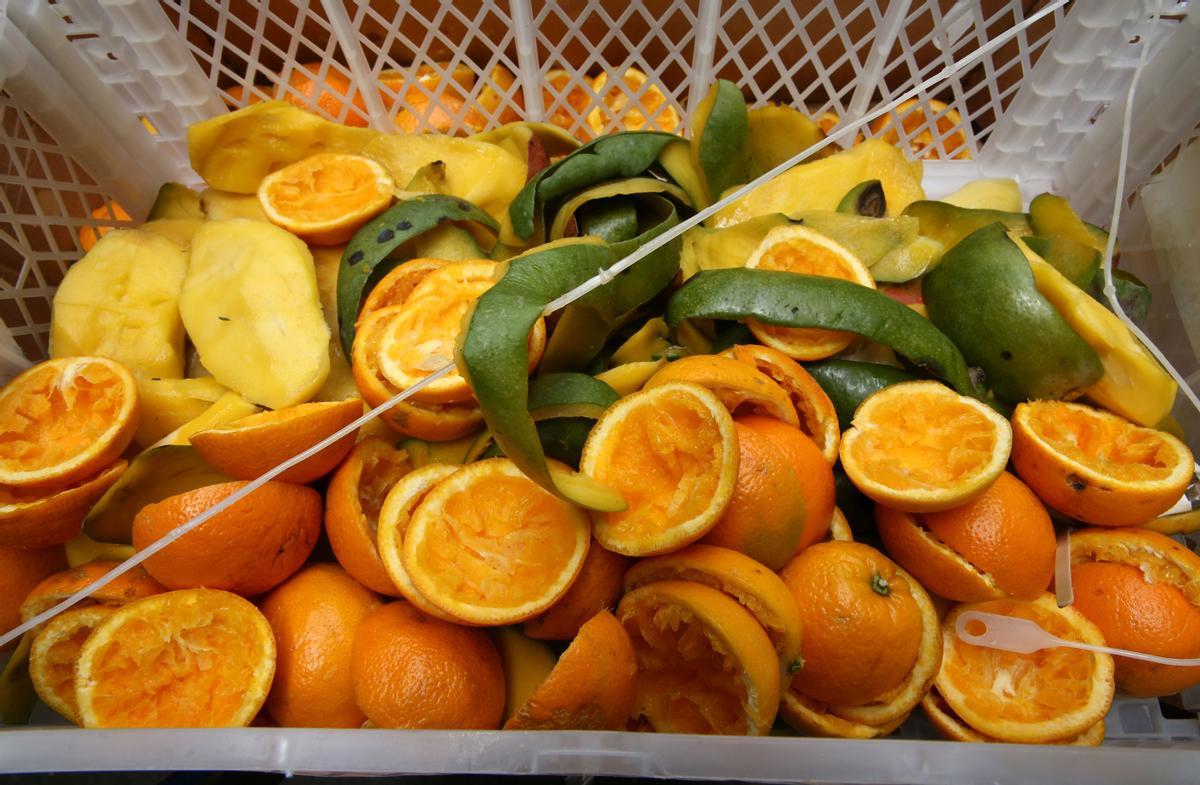 Restos de las frutas de los zumos llenan cajas de desperdicios