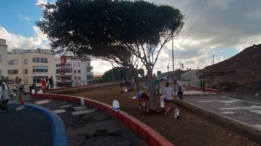 Vecinos de La Isleta organizan una &#039;regada&#039; en protesta por el abandono de zonas verdes