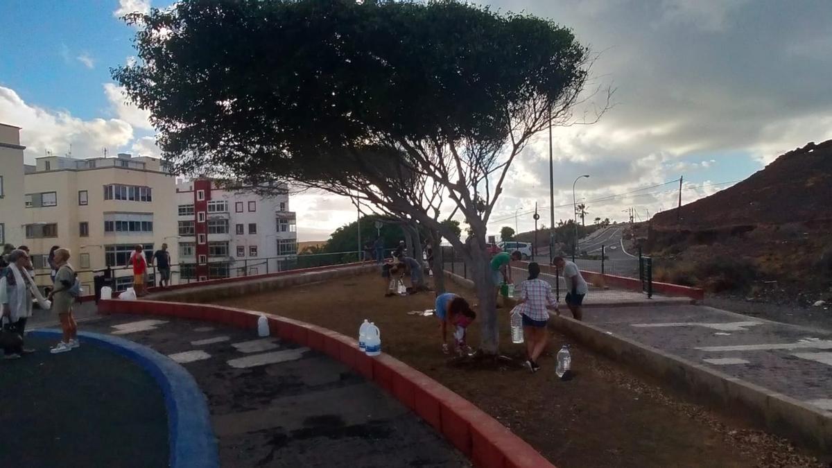 Vecinos de La Isleta riegan con garrafas los parterres y jardines resecos