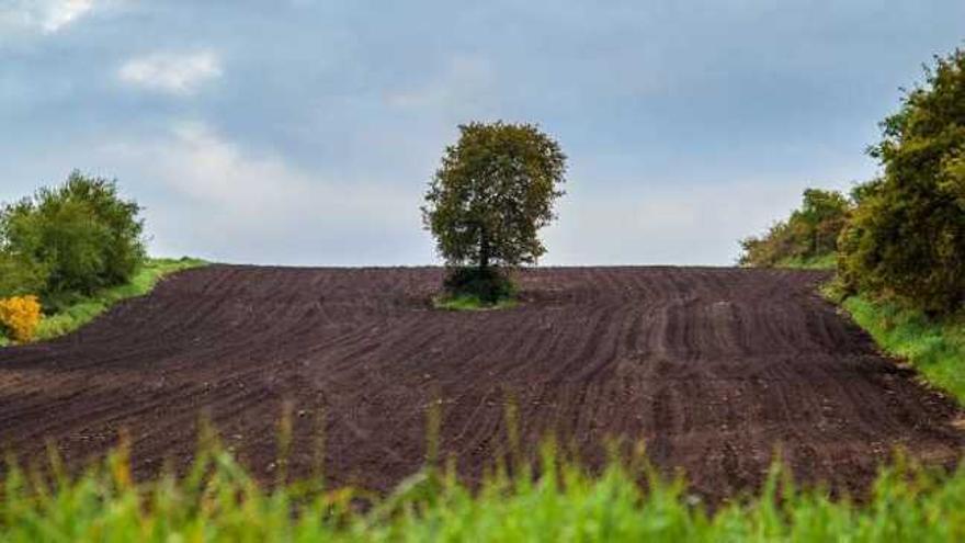 Eva Villar y Alfonso Ferrer ganan el  II Concurso de Fotografía Agropecuaria