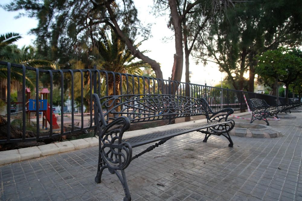 Cinco personas resultan heridas por la caída de la rama de un árbol en Elda