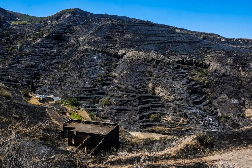 Incendio en Gran Canaria | Zonas afectadas en las medianías de Gáldar y en Artenara