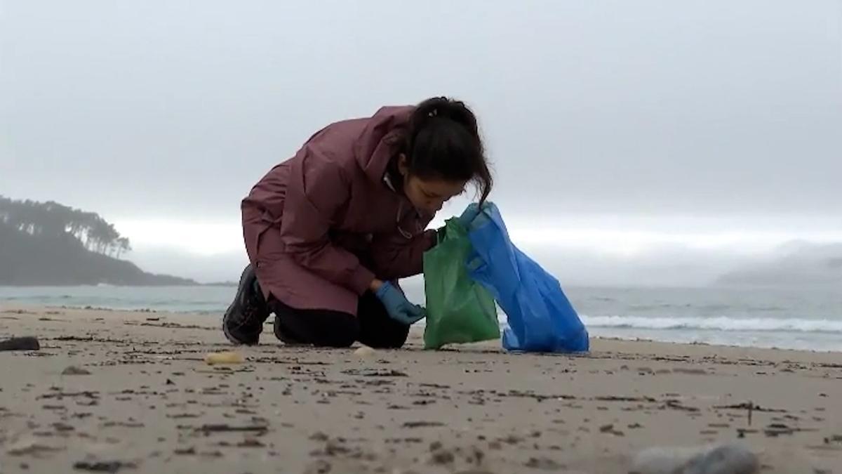 Voluntaria buscando pélets en una playa gallega