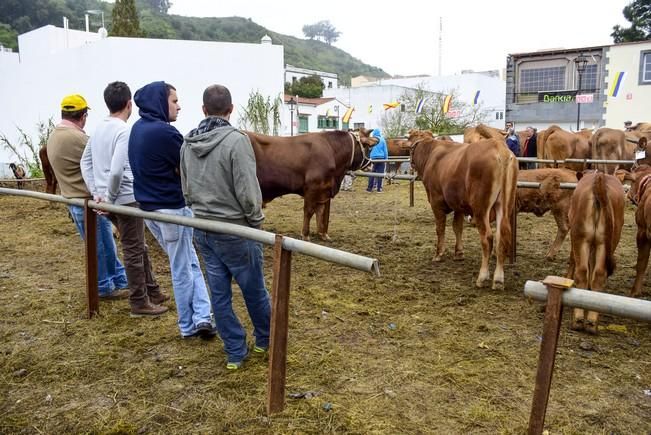 Día grande de las fiestas de San Vicente Ferrer ...