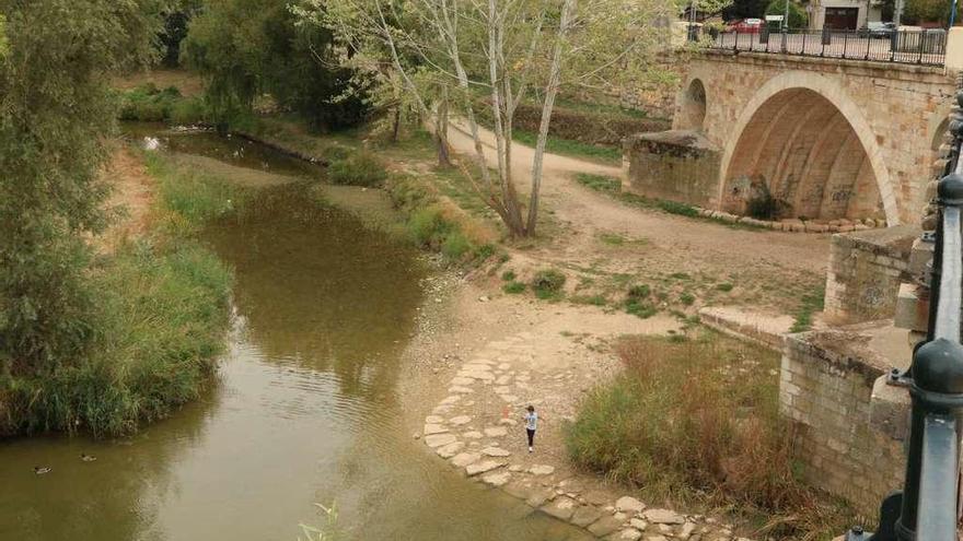 Estado actual del río Duero a su paso por Zamora en la margen izquierda.