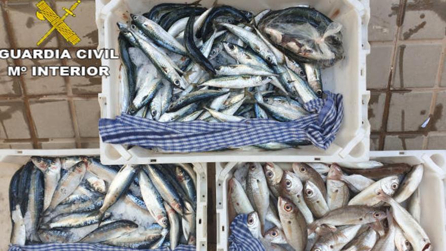 Vende pescado sin condiciones higiénicas