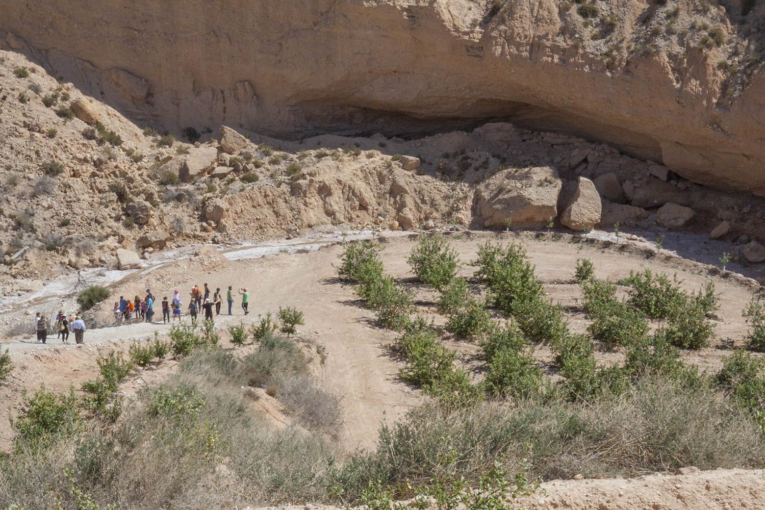 Fincas contaminadas, protestas vecinales, y catas de la Guardia Civil en las zonas de enterramiento de basura entre 2005 y 2011