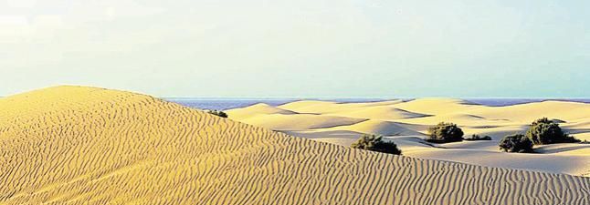 Dunas de Maspalomas.