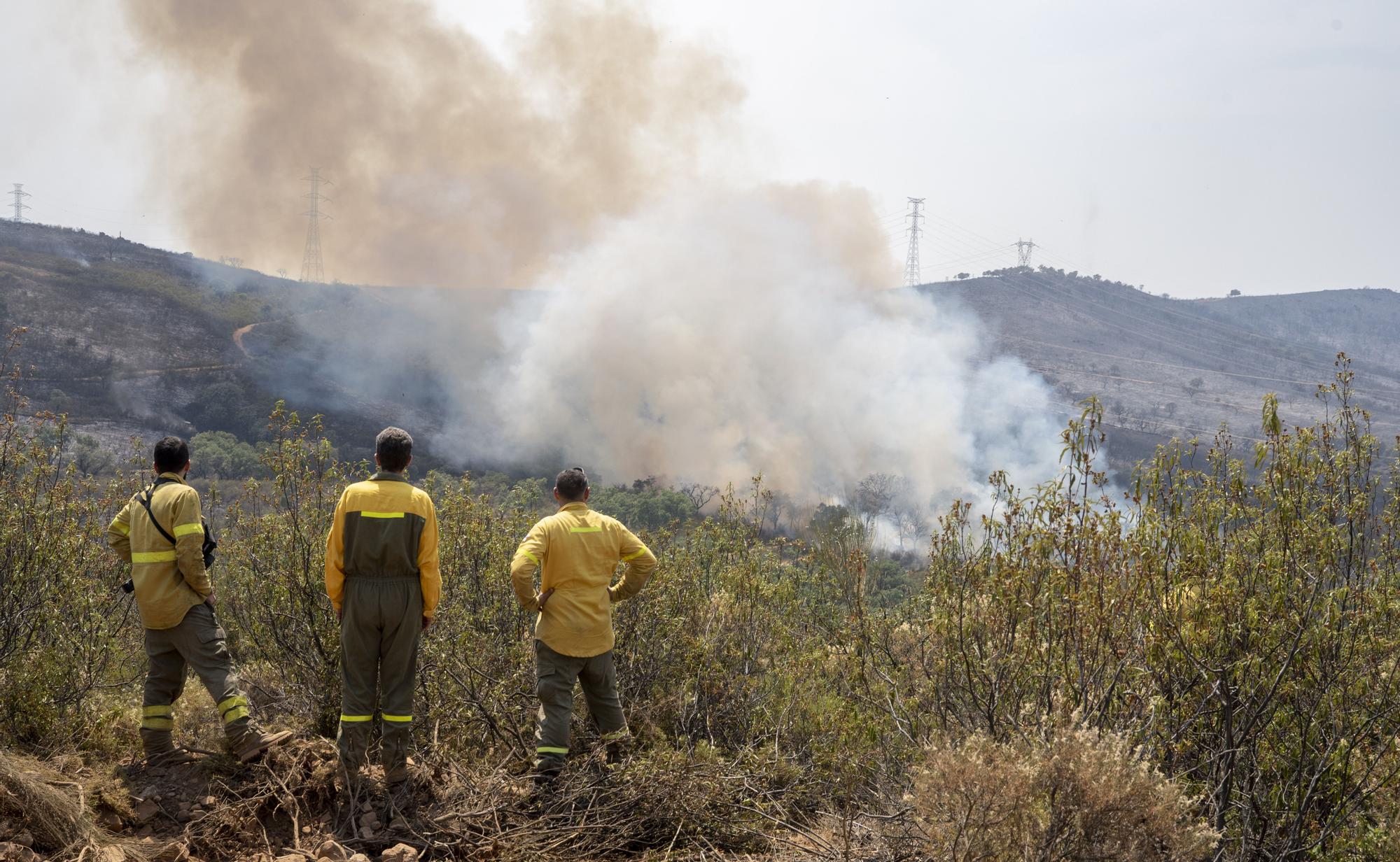 Un grupo de bomberos se dirige al incendio en el Parque Nacional de Monfragüe, en Cáceres.