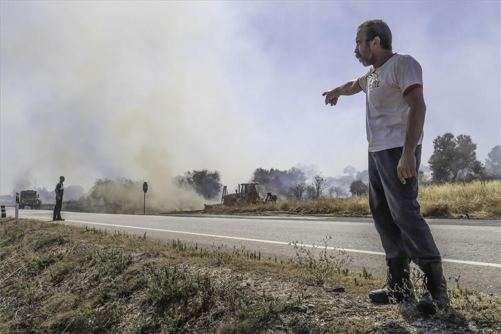 Incendio forestal en Cáceres