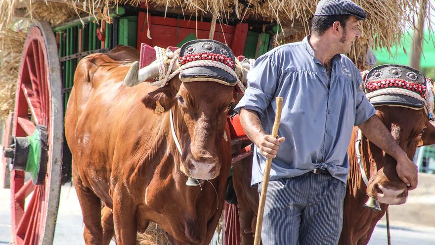 Dolores consolida el Fegado 2023 como la feria de ganado más importante de la Comunidad Valenciana