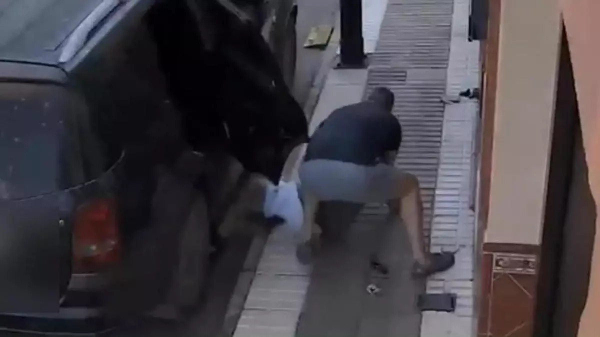 Dos guardias civiles fuera de servicio detienen in fraganti al presunto autor de una oleada de robos en Alcalá del Río