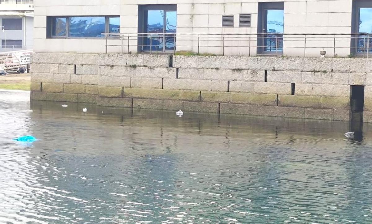 Varias bolsas de plástico, sobre la superficie de la ría de Vigo, en Bouzas.