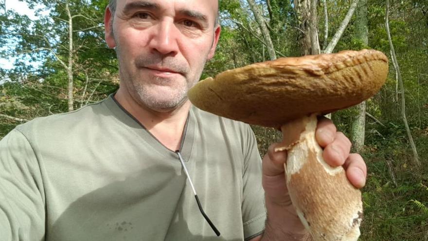 Una &quot;boletus edulis&quot; de medio kilo, en Cabrales