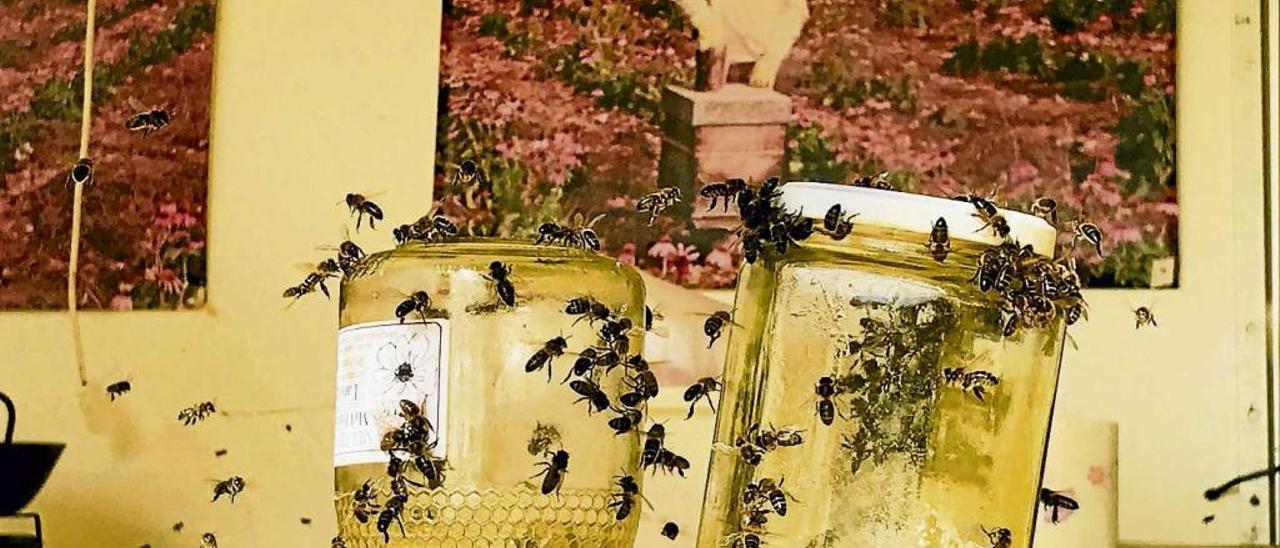 Les saons d´abril són bones per a les abelles.