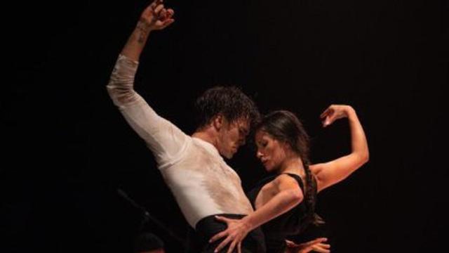 ‘4 danced seasons’Peralada1 i 2 d’agost. 65 euros.