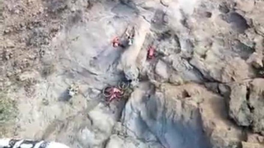 Rescatan a tres ciclistas deshidratados en el barranco del Cura