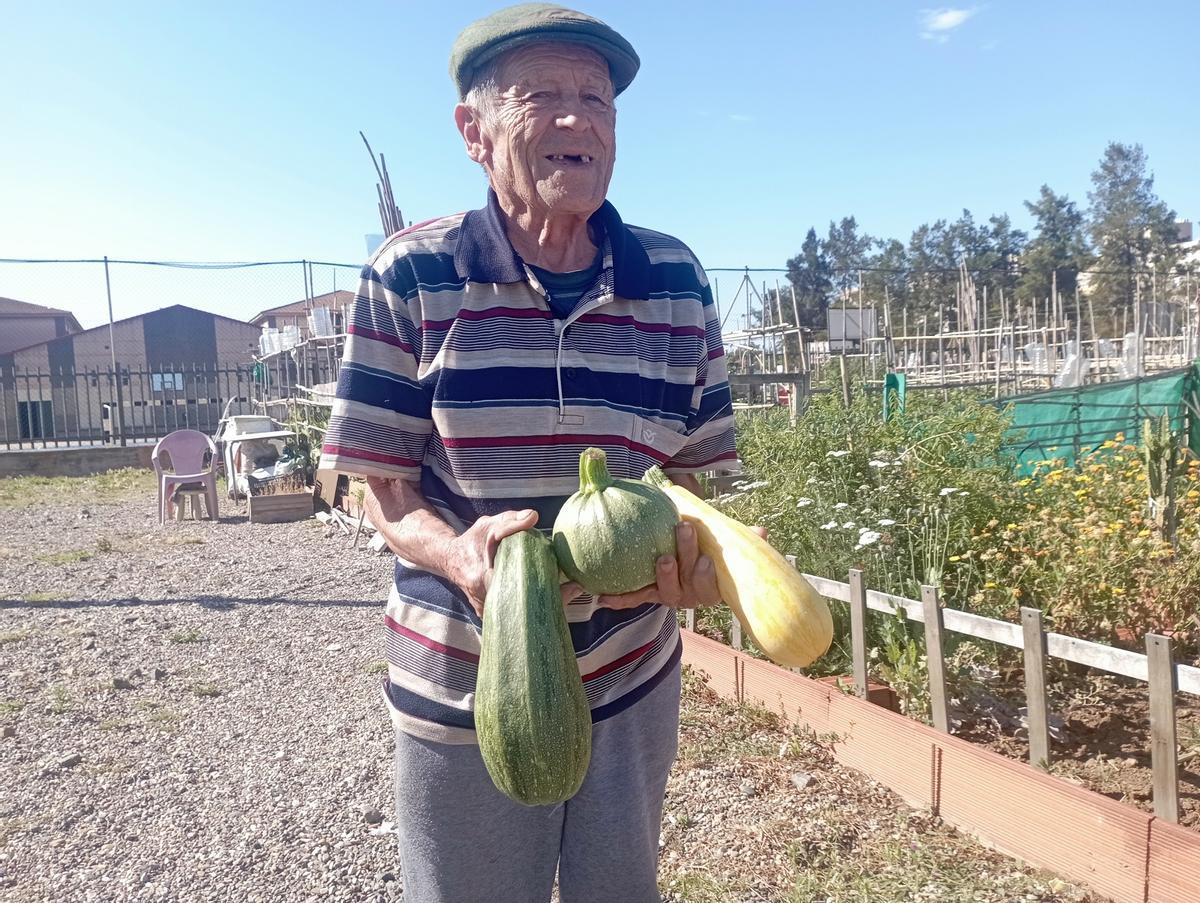Paco, de 81 años, antiguo trabajador en Francia, con los primeros calabacines de su terreno de 27 metros cuadrados en Puerta de Málaga, como los 148 que hay en el huerto.