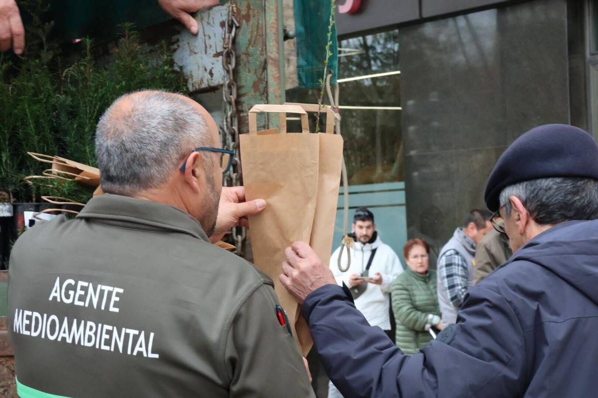 Entrega de plantas en la Junta.