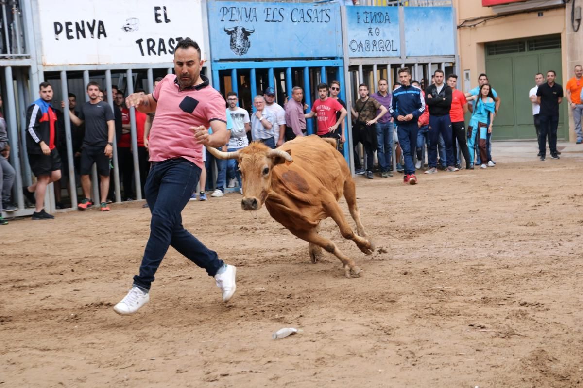 Fiestas patronales de Santa Quitèria de almassora III