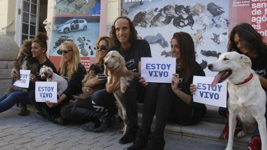 Miembros de El Refugio, acusación popular contra la protectora, ayer en Málaga.