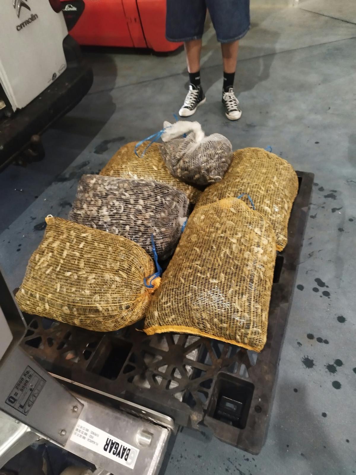 A veces los conductores desconocen las características del producto que transportan.